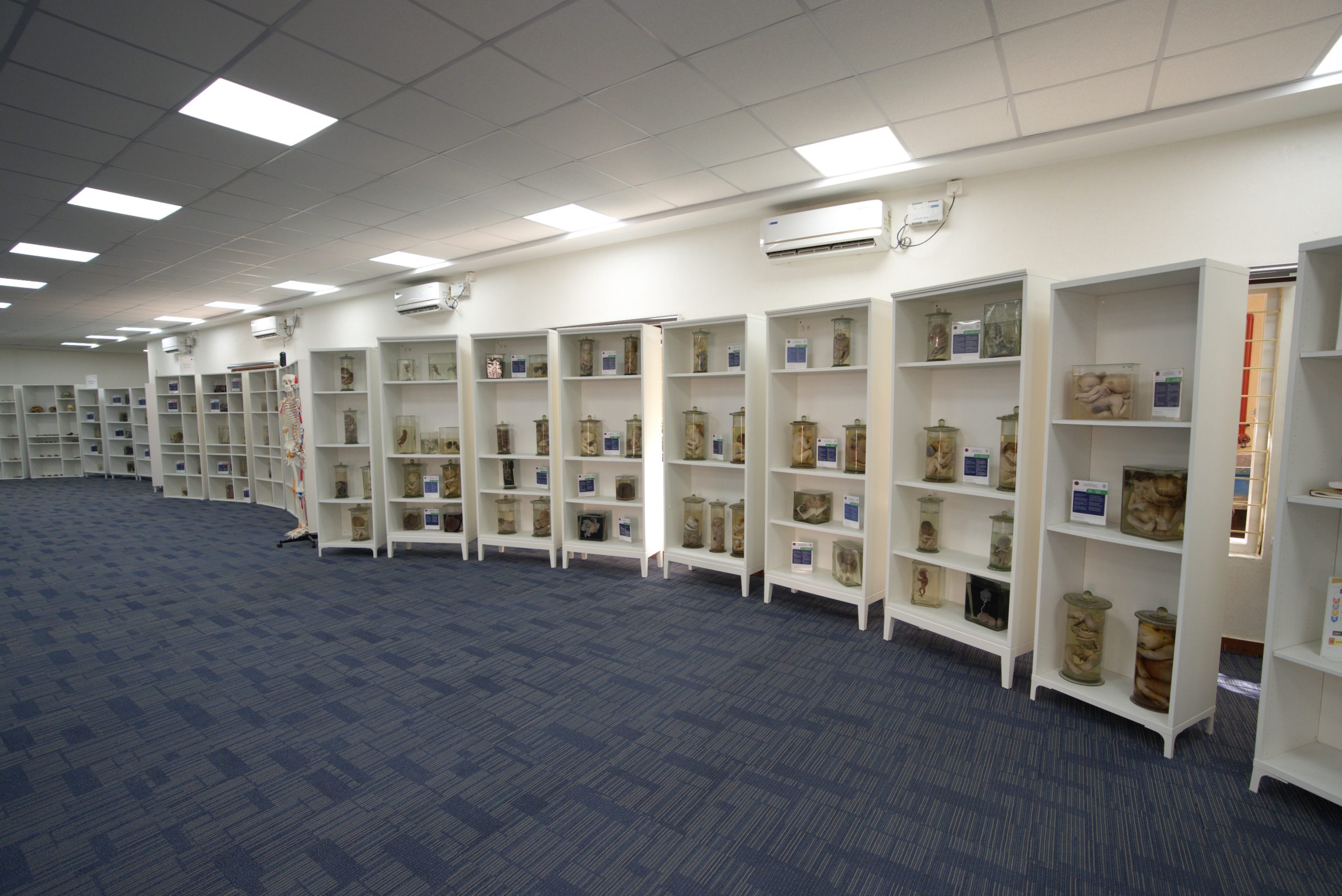 Indoor Sports Facility